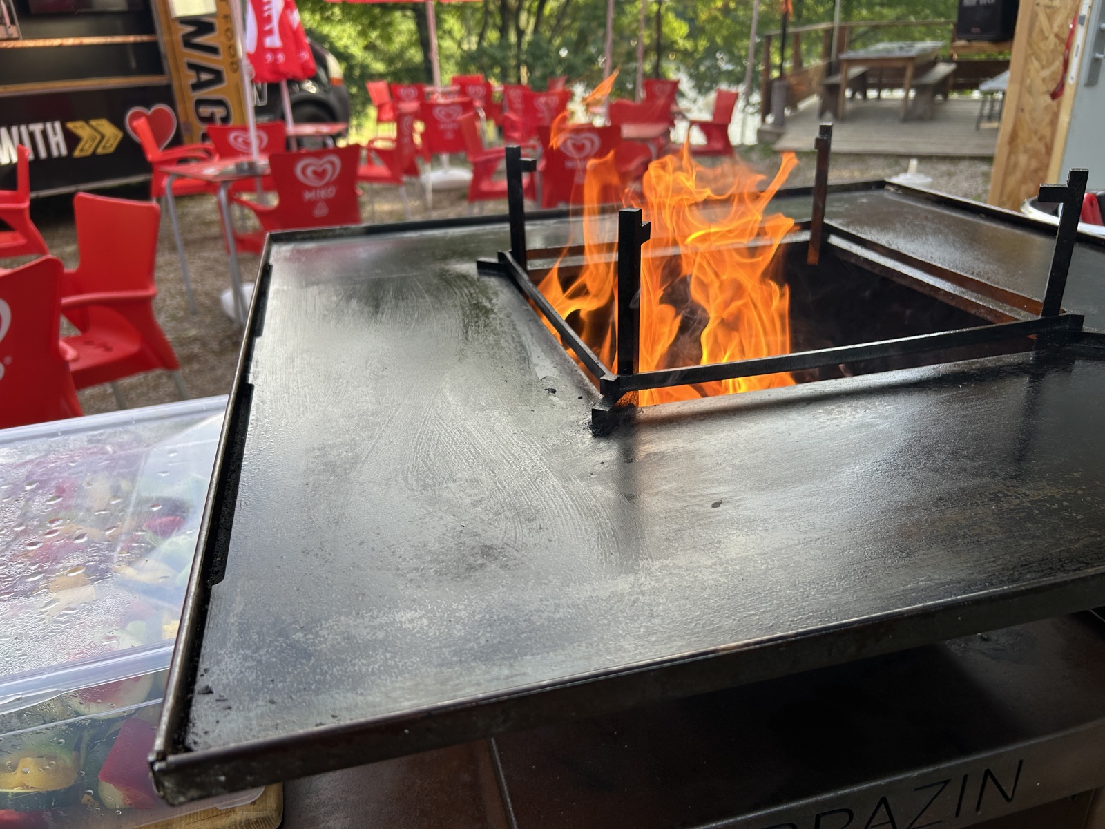 Barbecue au feu de bois